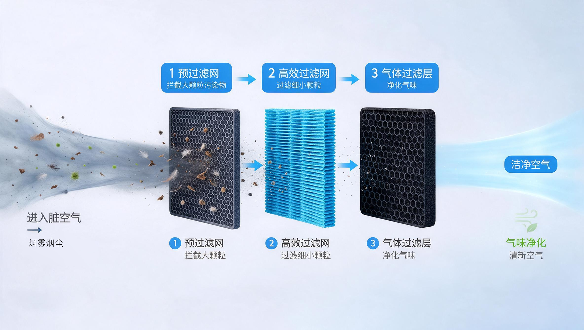 净化流程示意